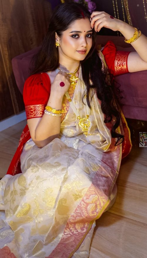 র্স্বণ জড়ি জামদানী ব্লাউজ পিস সহ